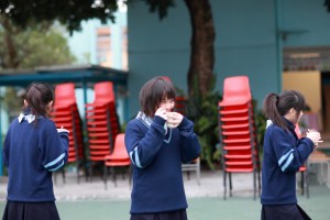 IMG 3990