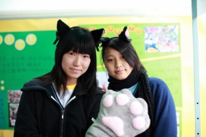 IMG 4049