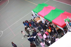 IMG 4216