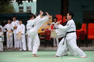 IMG 4354