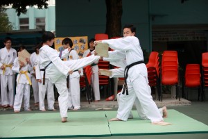 IMG 4358