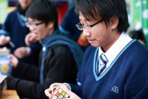 IMG 4593
