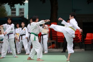 IMG 4602