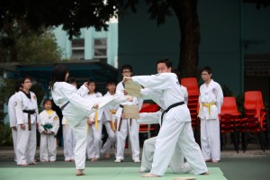 IMG 4606