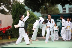 IMG 4614