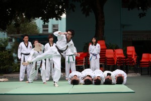 IMG 4617