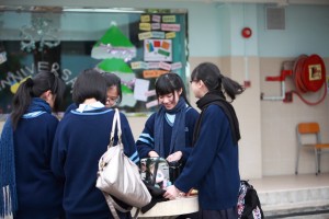IMG 4726