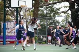IMG 4731