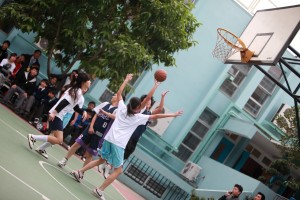 IMG 4732