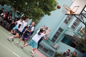 IMG 4733