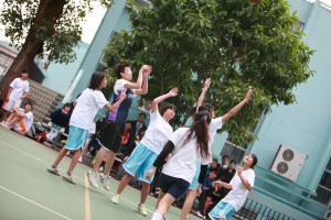 IMG 4734