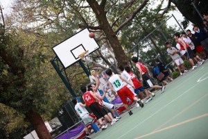 IMG 4786