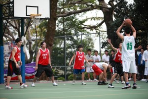 IMG 4795