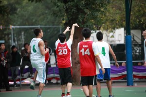 IMG 4839
