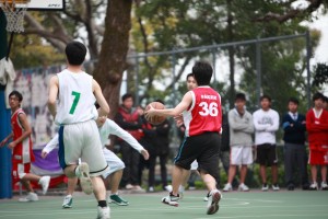 IMG 4862
