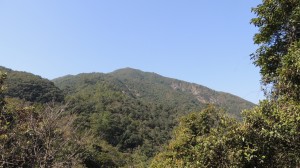 DSCN3197
