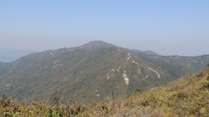 DSCN3243