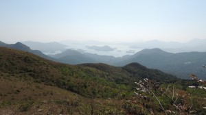 DSCN3263