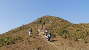 DSCN3265