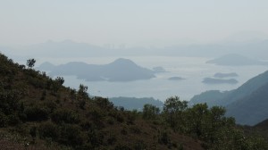DSCN3266