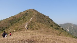 DSCN3267