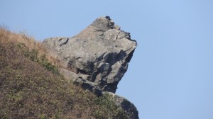DSCN3268