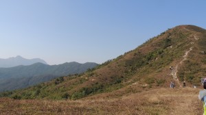 DSCN3270