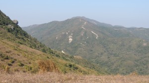 DSCN3273