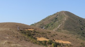 DSCN3274