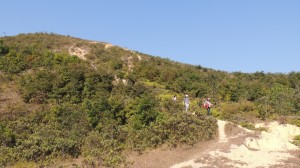 DSCN3286