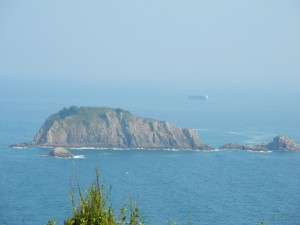 DSCN3533